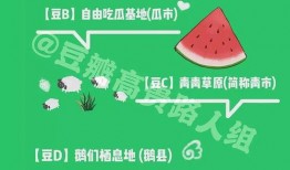 吃瓜转广告,揭秘美食背后的秘密