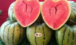 公司聚会时吃瓜,公司聚会美食瞬间