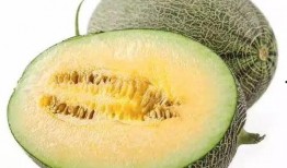 吃瓜合集叫啥,揭秘娱乐圈那些不为人知的幕后故事