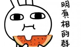 吃瓜大白小说19