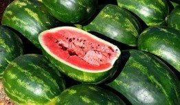 吃瓜的清理工,默默守护网络环境的守护者