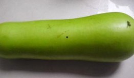 产后吃葫芦瓜,天然滋补，助力妈妈恢复健康