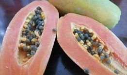 顺线吃瓜,揭秘娱乐圈背后的那些事儿