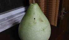 盐城在线吃瓜,揭秘网络吃瓜群众的狂欢盛宴