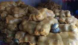 宁夏石缝瓜怎么吃,解锁美味新体验