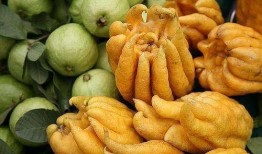 佛手果瓜吃后不适,揭秘背后的健康隐患