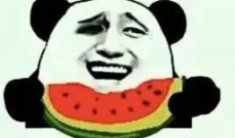 你们在哪里吃瓜,揭秘网络热点背后的故事与真相