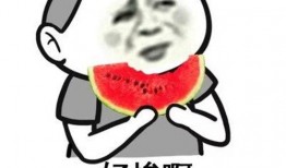 吃瓜就暴富系统规则,揭秘吃瓜暴富系统的神奇之旅