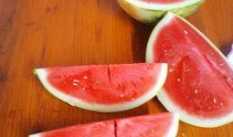 吃冰沙白瓜,冰沙白瓜，清爽一夏