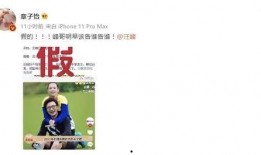 吃瓜造谣,揭秘网络造谣背后的真相