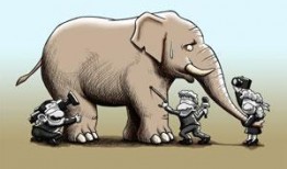 对吃瓜乱象的看法,网络舆论场中的是非曲直