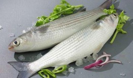 黑鱼可以和蒲瓜一起吃吗,健康搭配的饮食新选择