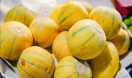 瓜甜怎么吃,探索最佳吃瓜技巧