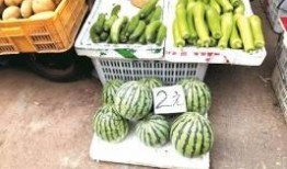 出来找瓜吃吗,“出来找瓜吃”背后的真相与趣味