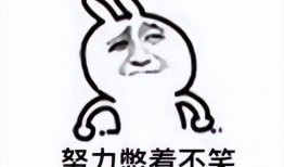 吃瓜笑哭表情包,揭秘网络表情包的魅力