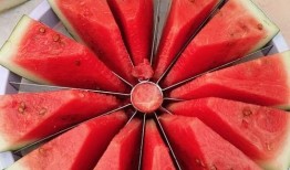 吃瓜比赛模板,一场舌尖上的吃瓜盛宴