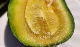 泉医吃瓜,揭秘医疗圈那些鲜为人知的幕后故事