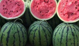 吃瓜在线全文,揭秘娱乐圈幕后真相，带你走进明星生活