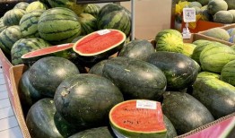 成都吃瓜群,揭秘美食背后的故事与趣闻