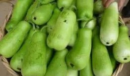 产后吃葫芦瓜,天然滋补，助力妈妈恢复健康