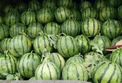 东营最新吃瓜热门事件,最新吃瓜热门事件，揭秘背后真相！