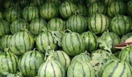 东营最新吃瓜热门事件,最新吃瓜热门事件，揭秘背后真相！