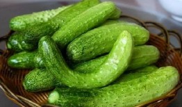 胡芸熙吃瓜,揭秘娱乐圈幕后真相