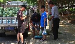 渔村吃瓜群众,揭秘渔村生活百态