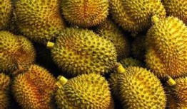 瓜壳炖汤怎么吃,营养美味，健康养生新选择