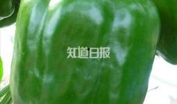 带你吃瓜的奇葩台灯,创意无限，趣味横生