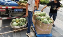 一涵吃瓜,揭秘娱乐圈那些不为人知的幕后故事