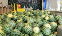 一涵吃瓜,揭秘娱乐圈那些不为人知的幕后故事