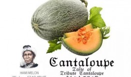 吃蜜瓜的李节,甜蜜滋味，尽享清凉