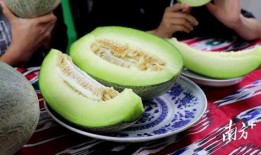 自家的瓜怎么吃,创意瓜食攻略