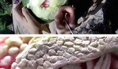 吃瓜恐龙头像,网络迷因背后的文化现象