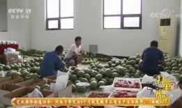 宜春老师吃瓜,一场校园风波背后的真相揭秘