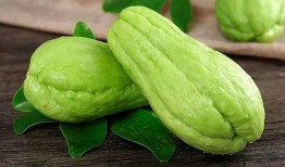 郁国祥吃瓜,揭秘娱乐圈幕后故事