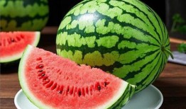 吃大瓜24年,回顾吃大瓜的精彩瞬间