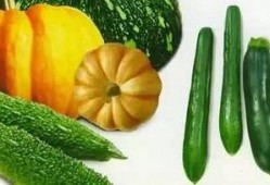 老飘吃瓜,揭秘娱乐圈那些不为人知的幕后故事