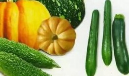 老飘吃瓜,揭秘娱乐圈那些不为人知的幕后故事