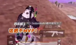 吃鸡主播布瓜,带你领略电竞魅力与幽默风趣