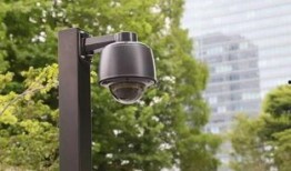 监控视频显示吃瓜,吃瓜群众现场直击