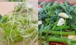 蓬瓜尖怎么吃,探索美味与营养的完美结合