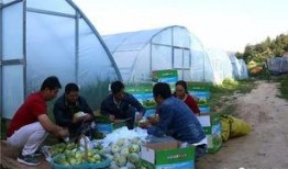 吃瓜影坊,揭秘娱乐圈幕后故事，带你领略光影背后的真实人生