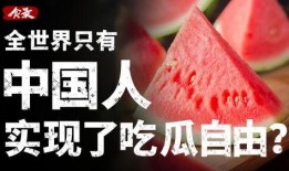 实现吃瓜自由视频,短视频时代的娱乐狂欢与反思