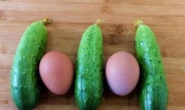 天天吃瓜教学,寓教于乐，轻松学习新风尚