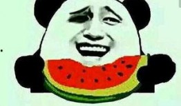 彩虹圈吃瓜群众,揭秘吃瓜群众的狂欢盛宴