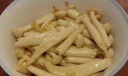 吃瓜小熊海鲜菇,吃瓜小熊带你探索海鲜菇的鲜美奥秘