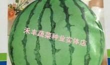 吃瓜头像12张,带你领略网络潮流风采