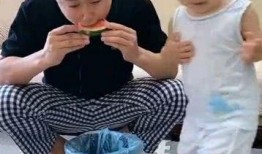 给老爸弄个瓜吃,夏日消暑瓜果盛宴